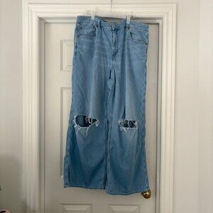 AE Low Rise Baggy, Wide Leg Jean